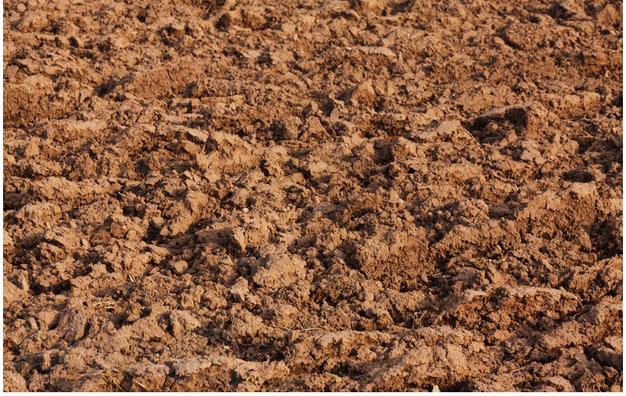 Требуется большой земельный участок под завоз чистого грунта в районе Бутово, Щербинки, Коммунарки