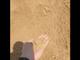 Песок: карьерный / сеяный; пгс