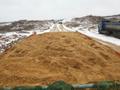 Требуется песок карьерный Носовихинское шоссе 850м<sup>3</sup>.