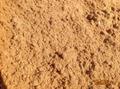 Песок сеяный с доставкой по Москве и МО
