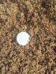Нерудный обогатительный комбинат в д. Ивойлово предлагает песок сеяный, мытый и гравий. Дешево!